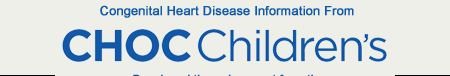 Congenital Heart Disease